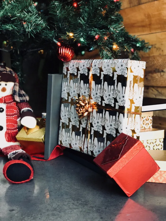 蝴蝶结，假日，雪人圣诞，针织毛衣，灰色书籍，圣诞灯，圣诞灯，树下