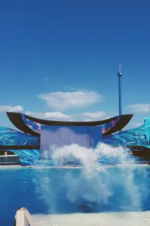 美国, 圣地亚哥, mission bay, whale, san diego, sea world, sky, water