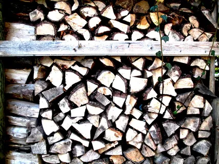 木材,holzstapel,木柴,堆叠,常春藤,缠绕,闭合,güttingen 木材,holzstapel,木柴,堆叠,常春藤,缠绕,闭合,güttingen