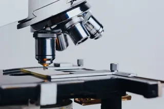 浅层、聚焦摄影、显微镜、封闭、向上、分析、生物化学、生物学家