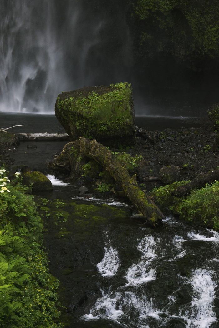 multnomah falls，美国，俄勒冈州，太平洋西北部，肖像方向，自然，水，树木