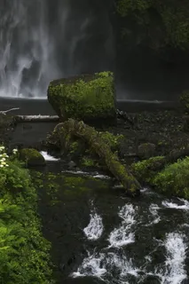 multnomah falls，美国，俄勒冈州，太平洋西北部，肖像方向，自然，水，树木