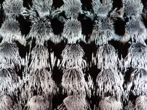 永磁体，铁粒子，磁学，永磁体，物理学，实验，实验博物馆，科学