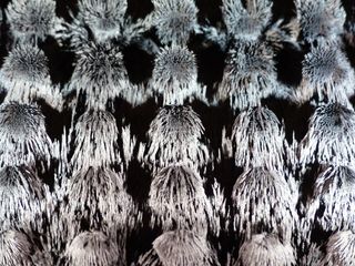 永磁体，铁粒子，磁学，永磁体，物理学，实验，实验博物馆，科学