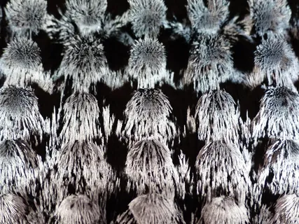永磁体,铁粒子,磁学,永磁体,物理学,实验,实验博物馆,科学 永磁体,铁粒子,磁学,永磁体,物理学,实验,实验博物馆,科学