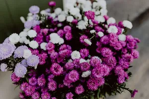 在楼梯上装饰南瓜和鲜花