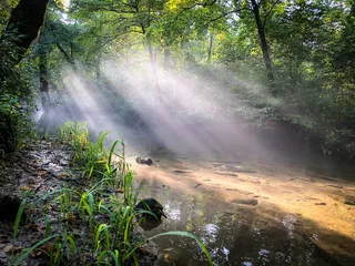 美国，汤森，凯德斯湾环路，森林，山脉，国家公园，凯德斯海湾，小溪