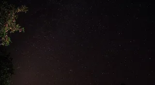 法国，古尔，贾布伦山谷，夜晚，天体照片，树木，天体，星星