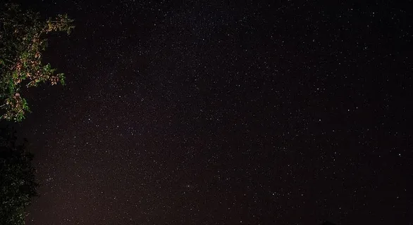 法国,古尔,贾布伦山谷,夜晚,天体照片,树木,天体,星星 法国,古尔,贾布伦山谷,夜晚,天体照片,树木,天体,星星