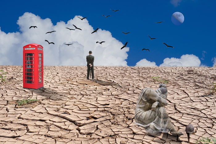 荒凉，悲伤，冷漠，天空，自然，鸟，脊椎动物，一个人