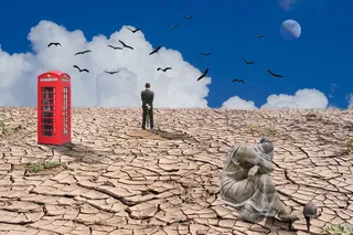 荒凉，悲伤，冷漠，天空，自然，鸟，脊椎动物，一个人