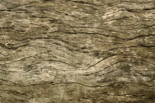 纹理，水平，木材，乡村，原材料，树，棕色