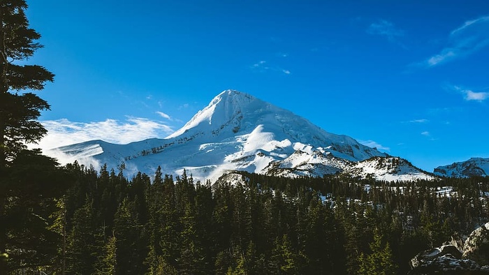 满山积雪，蓝天下绿树成荫