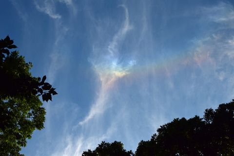 美国,橡树岭,云,天空,天景,火彩虹,植物,树叶 美国,橡树岭,云,天空,天景,火彩虹,植物,树叶