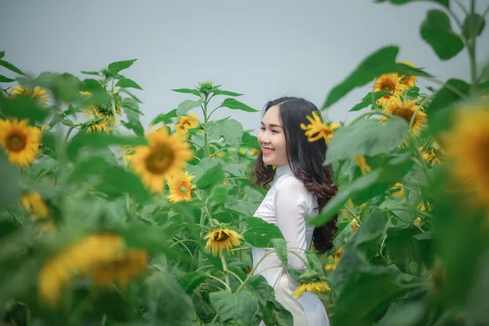 身着白色套装的微笑女子站在向日葵田*的照片