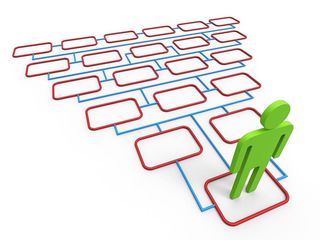 生活选择显示方向、生活方式和偏好