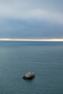 美国旧金山，炮台至断崖小径，孤独，鸟类，和平，禅宗，海洋