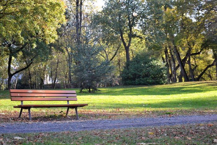 la rochelle，法国，秋季，automne，forest，la france，sun，banc publique