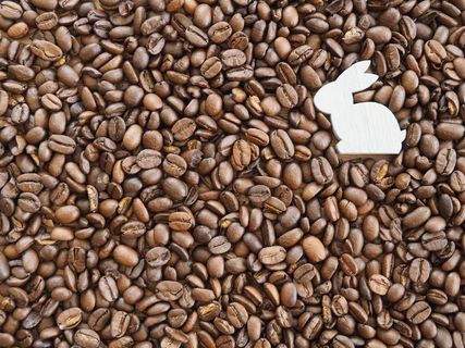 咖啡，咖啡豆，棕色，咖啡因，咖啡豆，烘焙，香气，芳香背景