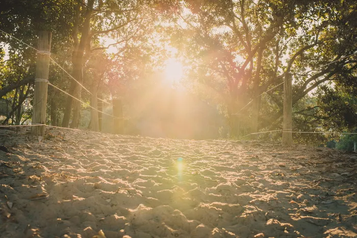 澳大利亚，布伦瑞克黑德，金色，阳光，阳光，海滩，自然，假日