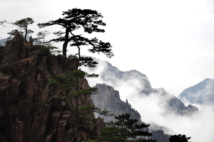 绿色、树叶、树木、棕色、悬崖、白天、自然、山脉