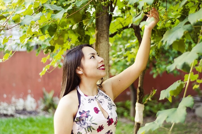 葡萄藤，水果，女人，绿色，院子，森林，植物，植物