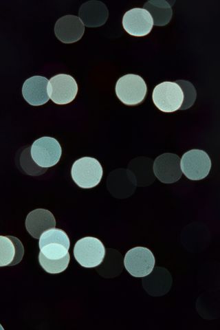 波基，灯光，霓虹灯，灯光，夜晚，黑暗，圣诞节，圣诞节