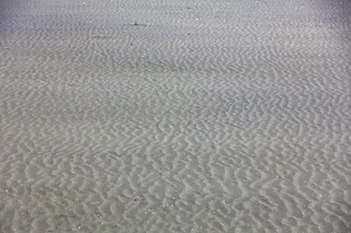 新西兰，皮哈海滩，皮哈，沙滩，海滩，波浪，全框架，图案