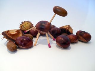 修补匠，自己动手，修补匠，爱好，手工艺品，自然，栗子，橡子