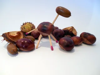 修补匠，自己动手，修补匠，爱好，手工艺品，自然，栗子，橡子