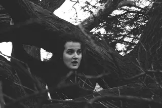 黑白, 分支机构, 女孩, 户外, 树, 女人, 妇女, 自然