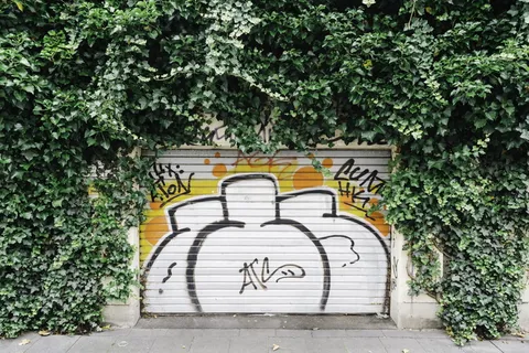 破坏者、艺术品、油漆、车库、墙壁、树叶、绿色、涂鸦