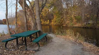 秋天，营地，三河，枫林，水，没有人，树，宁静