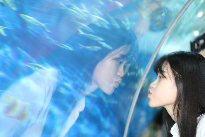 肖像、水族馆、女孩、倒影、搞笑、嘴唇、鱼、模仿