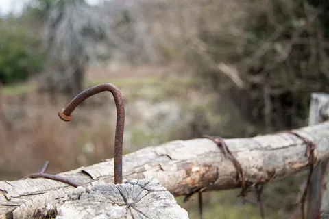 钉子,老钉子,年老,孤独,悲伤,篱笆,生锈,年老 钉子,老钉子,年老,孤独,悲伤,篱笆,生锈,年老