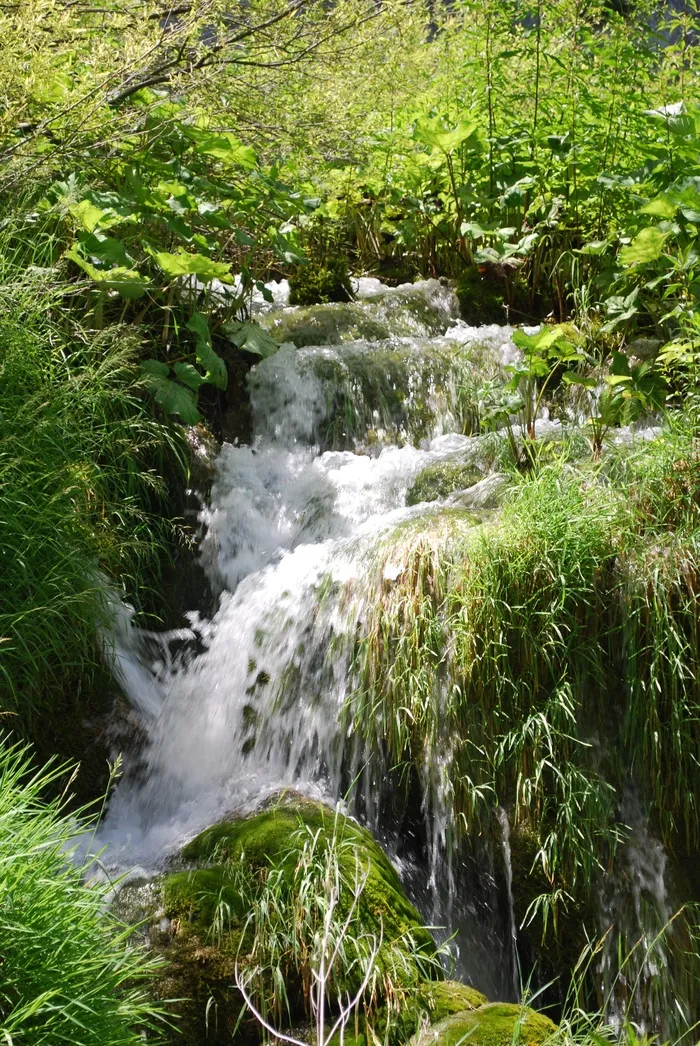 克罗地亚国家公园，瀑布，瀑布，自然，普利特维兹湖，植物，自然之美，水