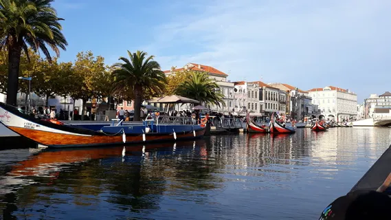 葡萄牙，aveiro，ria，moliceiro，水，船只，棕榈树，运输