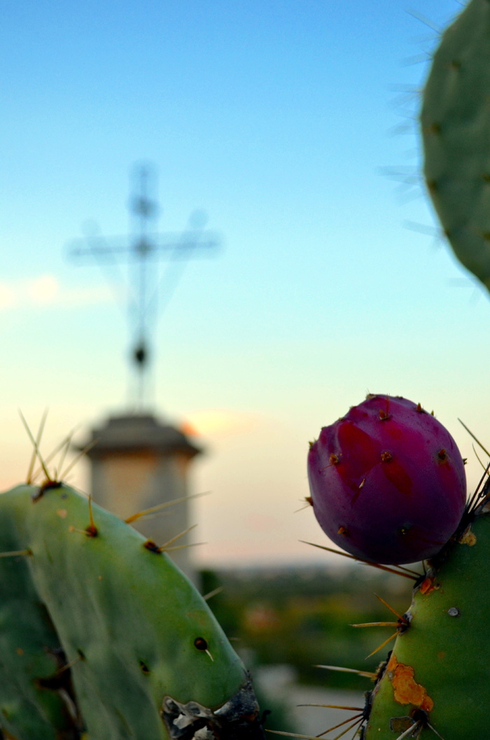 花梨、十字架、日落、尼瓦诺、自然、天空、特写、聚焦前景