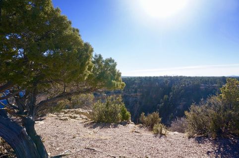 美国，南缘，亚利桑那州，大峡谷国家公园，大峡谷，hdwallpaper，悬崖，墙纸hd，树木