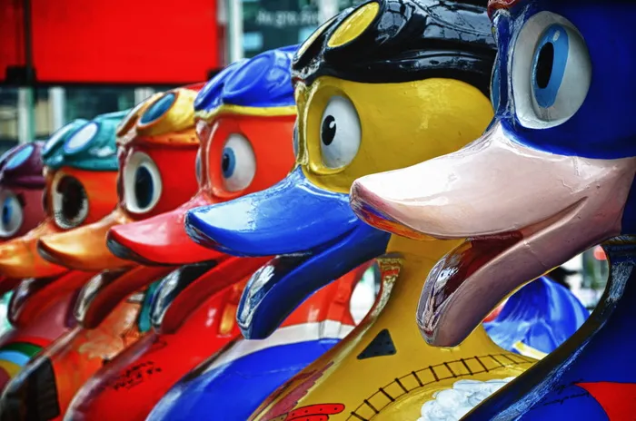 英国，利物浦，阿尔伯特码头，飞鸭，一排，多只鸭子，鸭子，塑料鸭子