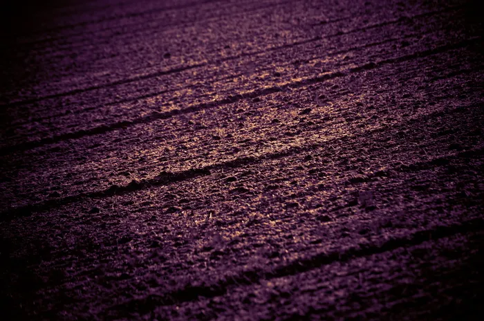 领域，面积，抽象，数字艺术，纹理，背景，艺术，图案