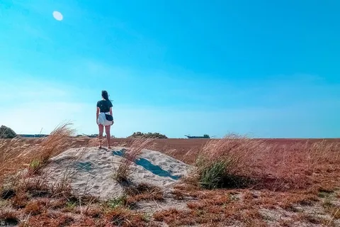 女人,女孩,女士,人们,背,沉思,站立,自然 女人,女孩,女士,人们,背,沉思,站立,自然