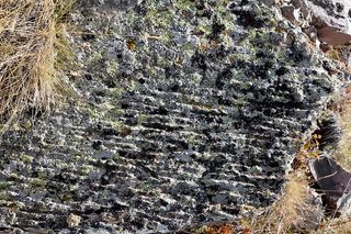 肯尼迪，石头，纹理，构图，宏观，自然，石头是，细节