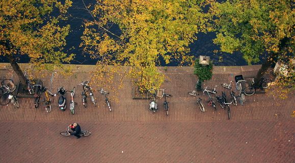 自行车,自行车,小伙子,男人,人,骑自行车的人,树,树叶 自行车,自行车,小伙子,男人,人,骑自行车的人,树,树叶