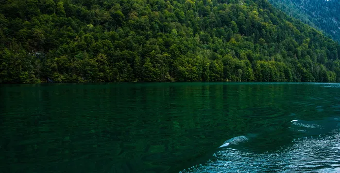königssee，水，水，自然，沉默，景观，湖泊，高山