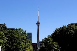 加拿大，多伦多，多伦多大学-圣george campus，摩天楼，天际线，建筑，建筑，绿化