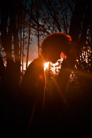 西班牙，阿尔桑达山，日落，秋天，秋天，头发，女孩，树木