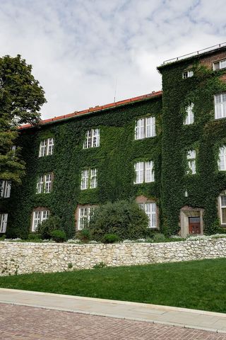 波兰首府克拉科夫的魅力