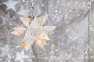 浅色、对焦摄影、白色、橙色、花卉装饰、圣诞节、圣诞节时间、圣诞节装饰