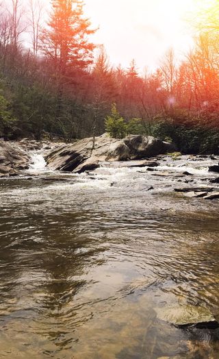 美国、吹石、朱利安·普莱斯纪念公园、山涧、水、自然之美、树木、宁静
